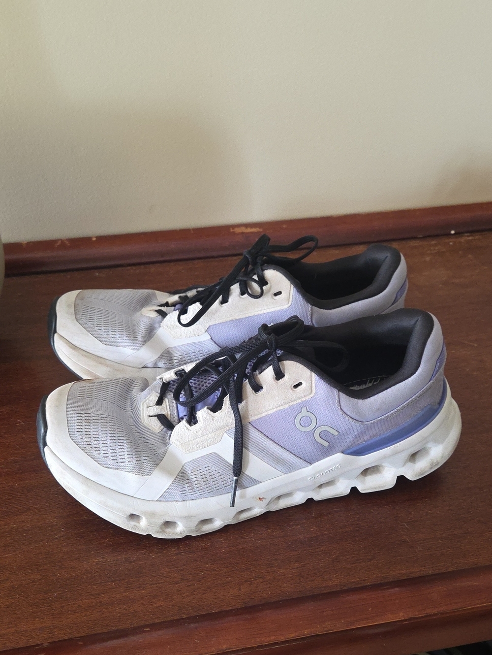 On Running Grayish Lilac Shoe  10 42